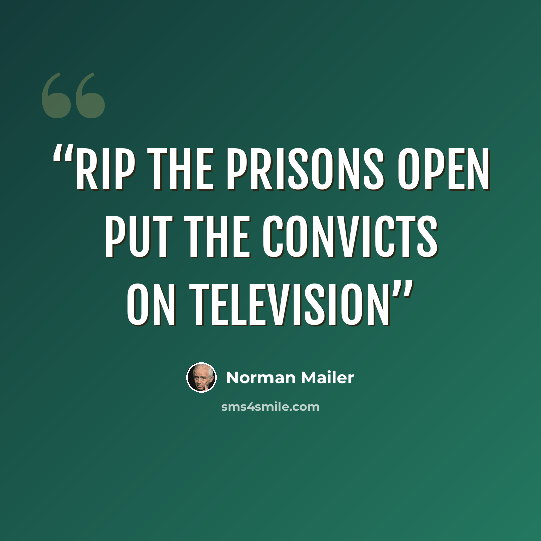 “rip the prisons open put the convicts on television” quote by Norman Mailer