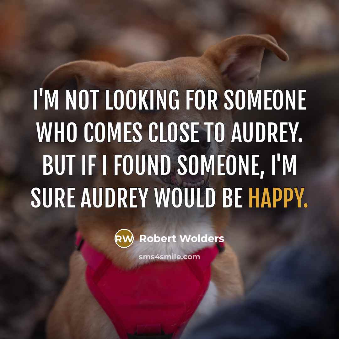 “I'm not looking for someone who comes close to Audrey. But if I found someone, I'm sure Audrey would be happy.” quote by Robert Wolders