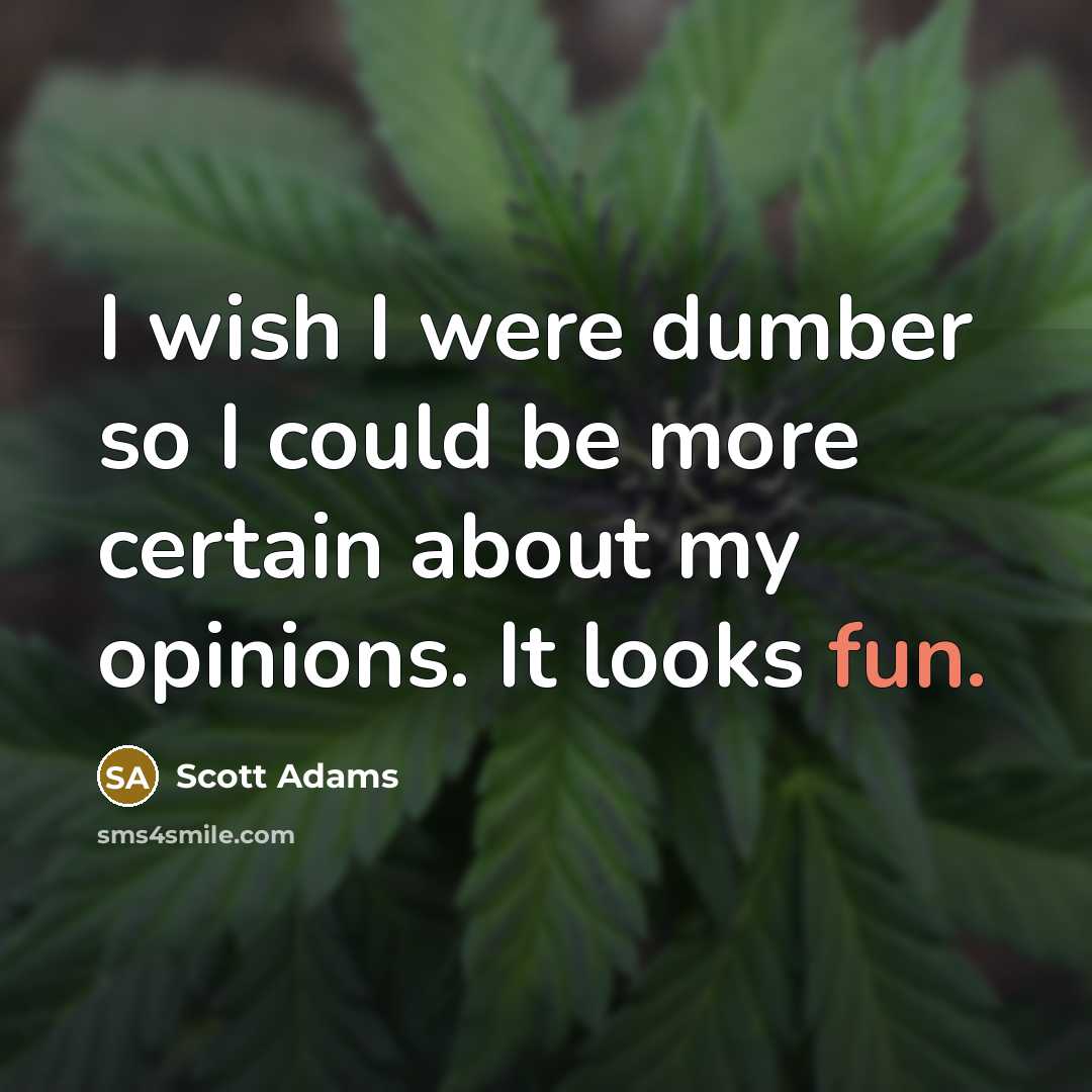 “I wish I were dumber so I could be more certain about my opinions. It looks fun.” quote by Scott Adams