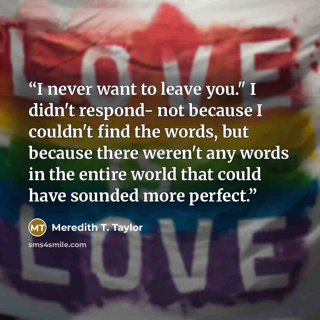 “I never want to leave you." I didn't respond- not because I couldn't find the words, but because there weren't any words in the entire world that could have sounded more perfect.” quote by Meredith T. Taylor