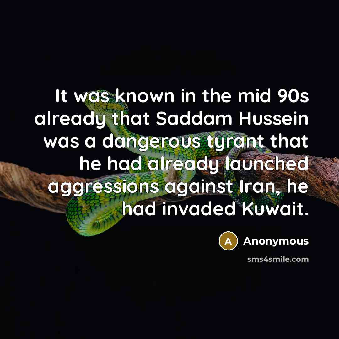 “It was known in the mid 90s already that Saddam Hussein was a dangerous tyrant that he had already launched aggressions against Iran, he had invaded Kuwait.” quote by Anonymous