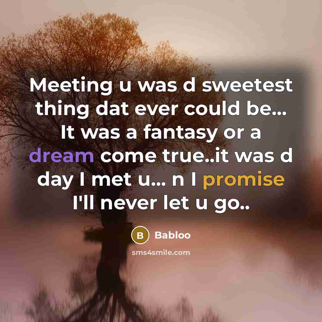 “Meeting u was d sweetest thing dat ever could be... It was a fantasy or a dream come true..it was d day I met u... n I promise I'll never let u go..” quote by Babloo