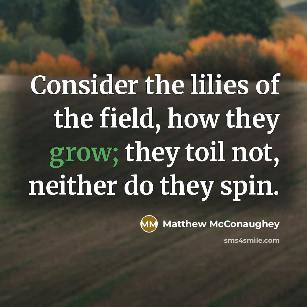 “Consider the lilies of the field, how they grow; they toil not, neither do they spin.” quote by Matthew McConaughey