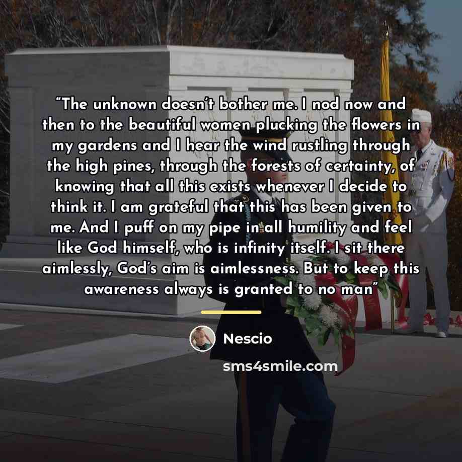 “The unknown doesn’t bother me. I nod now and then to the beautiful women plucking the flowers in my gardens and I hear the wind rustling through the high pines, through the forests of certainty, of knowing that all this exists whenever I decide to think it. I am grateful that this has been given…” quote by Nescio