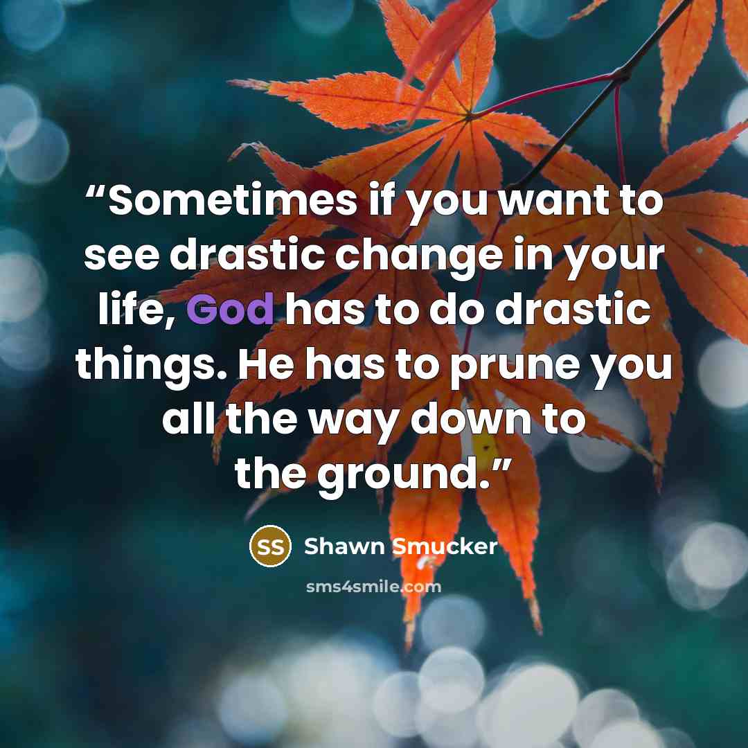 “Sometimes if you want to see drastic change in your life, God has to do drastic things. He has to prune you all the way down to the ground.” quote by Shawn Smucker