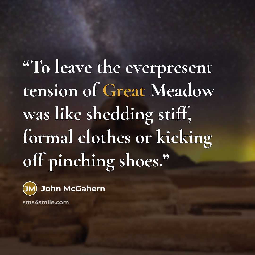 “To leave the everpresent tension of Great Meadow was like shedding stiff, formal clothes or kicking off pinching shoes.” quote by John McGahern