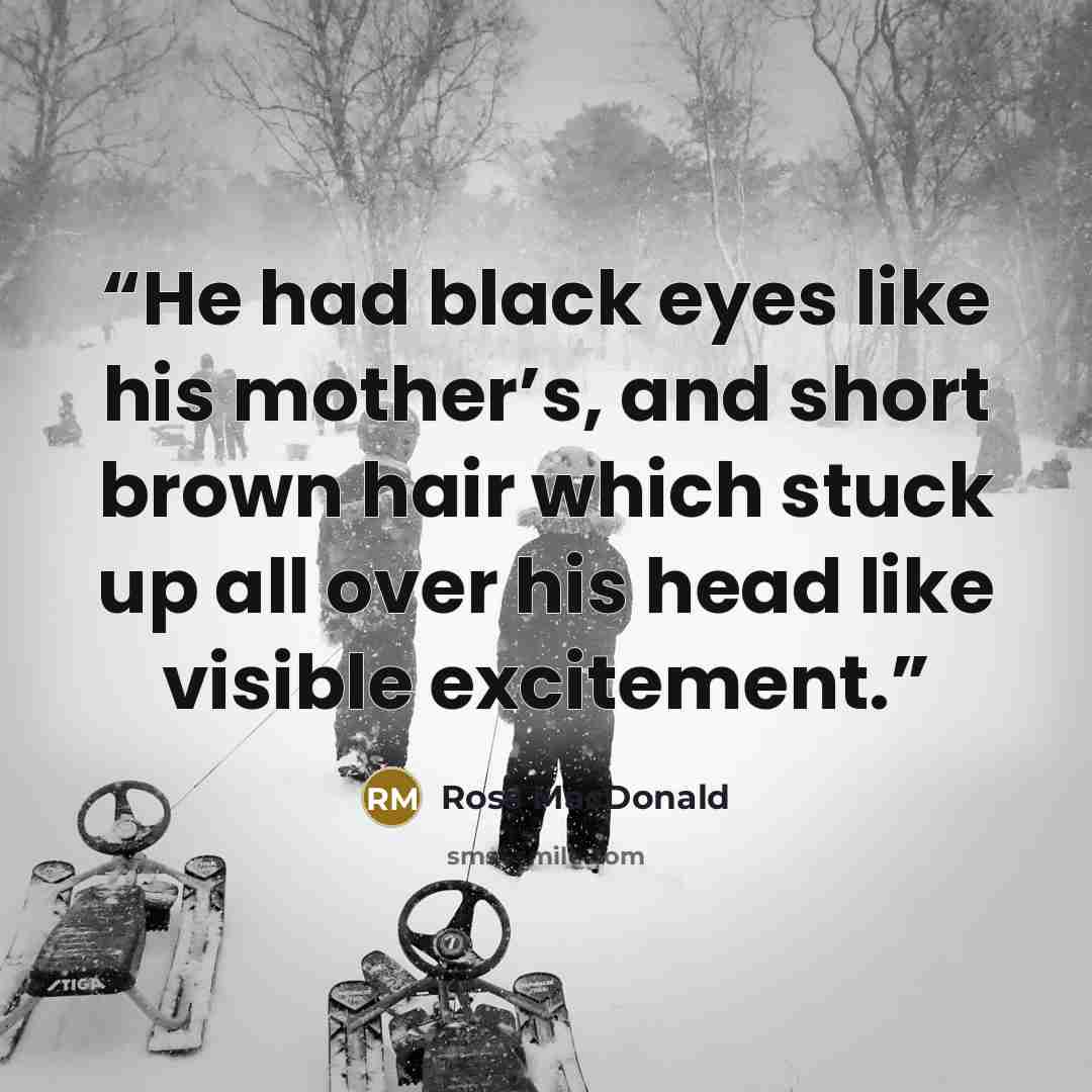 “He had black eyes like his mother’s, and short brown hair which stuck up all over his head like visible excitement.” quote by Ross Macdonald