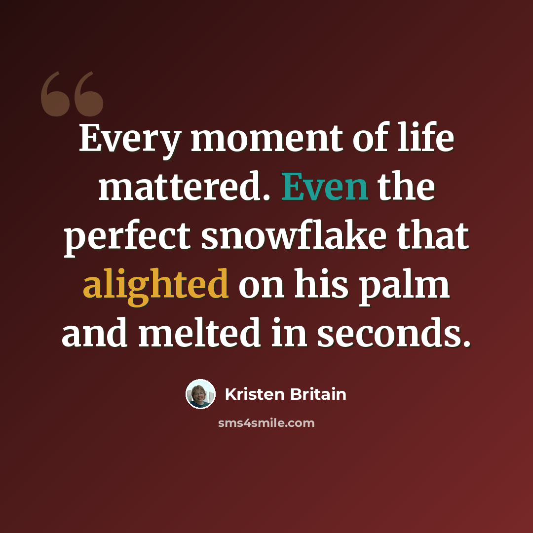 “Every moment of life mattered. Even the perfect snowflake that alighted on his palm and melted in seconds.” quote by Kristen Britain