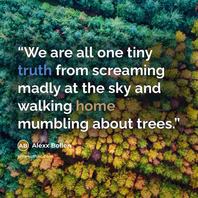 “We are all one tiny truth from screaming madly at the sky and walking home mumbling about trees.” quote by Alexx Bollen