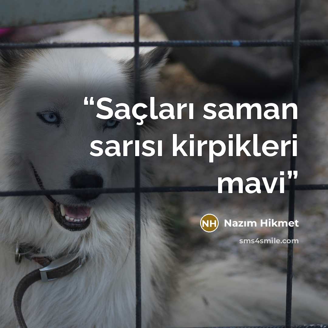 “Saçları saman sarısı kirpikleri mavi” quote by Nazım Hikmet