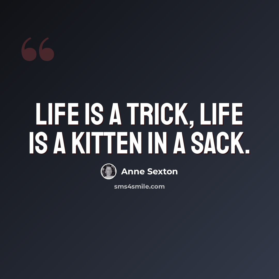 “life is a trick, life is a kitten in a sack.” quote by Anne Sexton