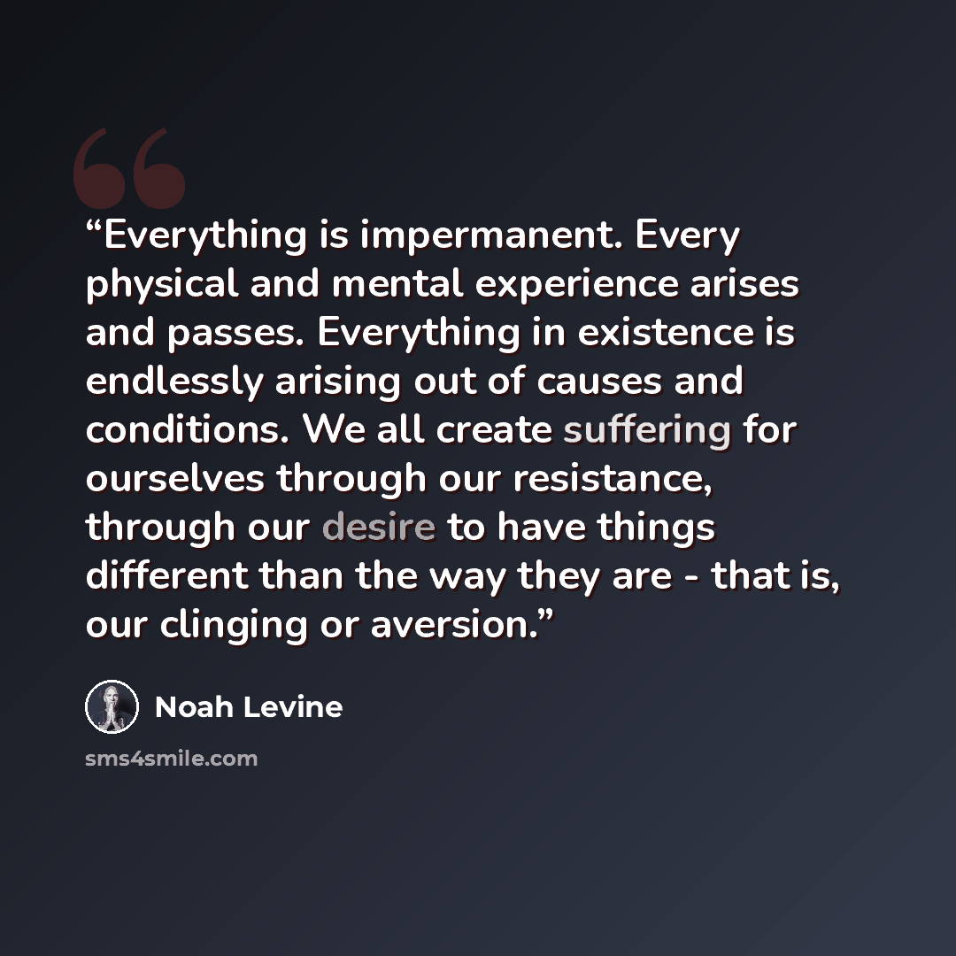 “Everything is impermanent. Every physical and mental experience arises and passes. Everything in existence is endlessly arising out of causes and conditions. We all create suffering for ourselves through our resistance, through our desire to have things different than the way they are - that is…” quote by Noah Levine