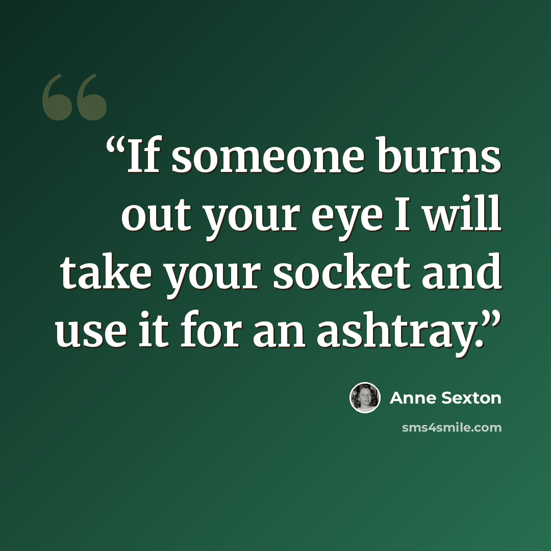 “If someone burns out your eye I will take your socket and use it for an ashtray.” quote by Anne Sexton