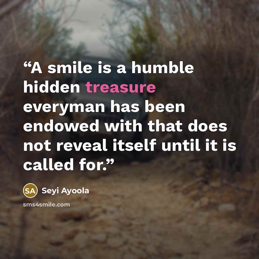 “A smile is a humble hidden treasure everyman has been endowed with that does not reveal itself until it is called for.” quote by Seyi Ayoola