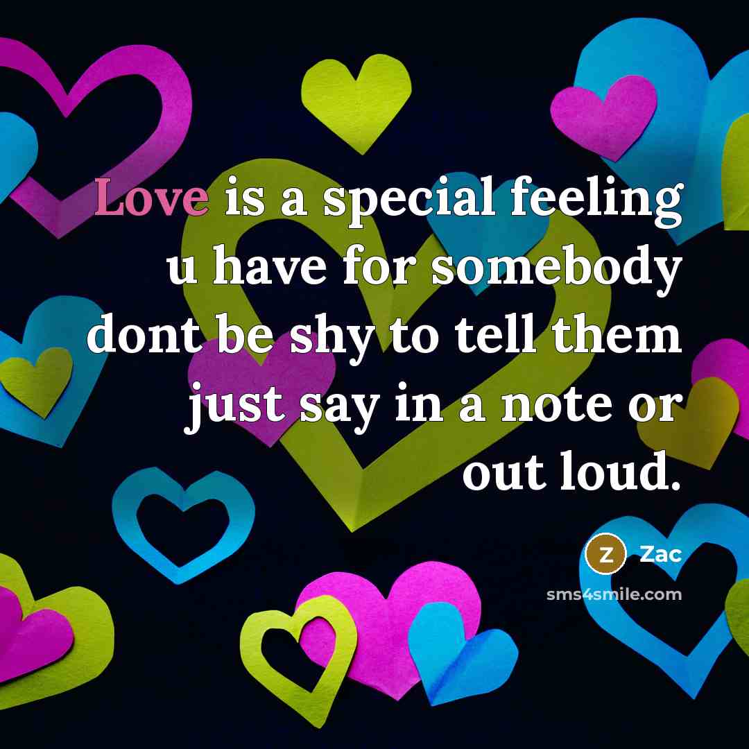 “Love is a special feeling u have for somebody dont be shy to tell them just say in a note or out loud.” quote by ZAC