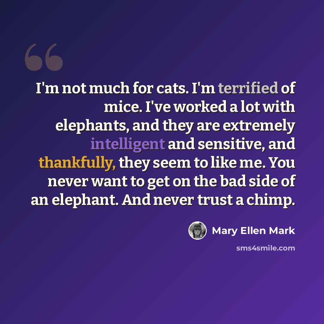 “I'm not much for cats. I'm terrified of mice. I've worked a lot with elephants, and they are extremely intelligent and sensitive, and thankfully, they seem to like me. You never want to get on the bad side of an elephant. And never trust a chimp.” quote by Mary Ellen Mark