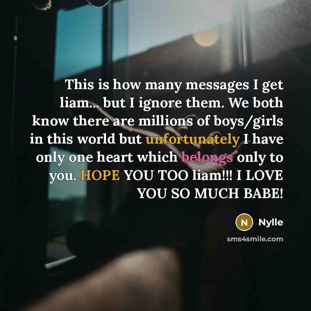“This is how many messages I get liam... but I ignore them. We both know there are millions of boys/girls in this world but unfortunately I have only one heart which belongs only to you. HOPE YOU TOO liam!!! I LOVE YOU SO MUCH BABE!” quote by Nylle