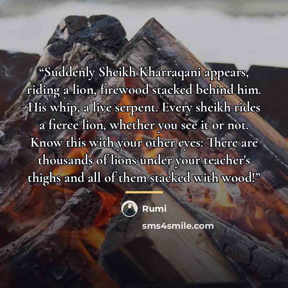 “Suddenly Sheikh Kharraqani appears, riding a lion, firewood stacked behind him. His whip, a live serpent. Every sheikh rides a fierce lion, whether you see it or not. Know this with your other eyes: There are thousands of lions under your teacher's thighs and all of them stacked with wood!” quote by Rumi