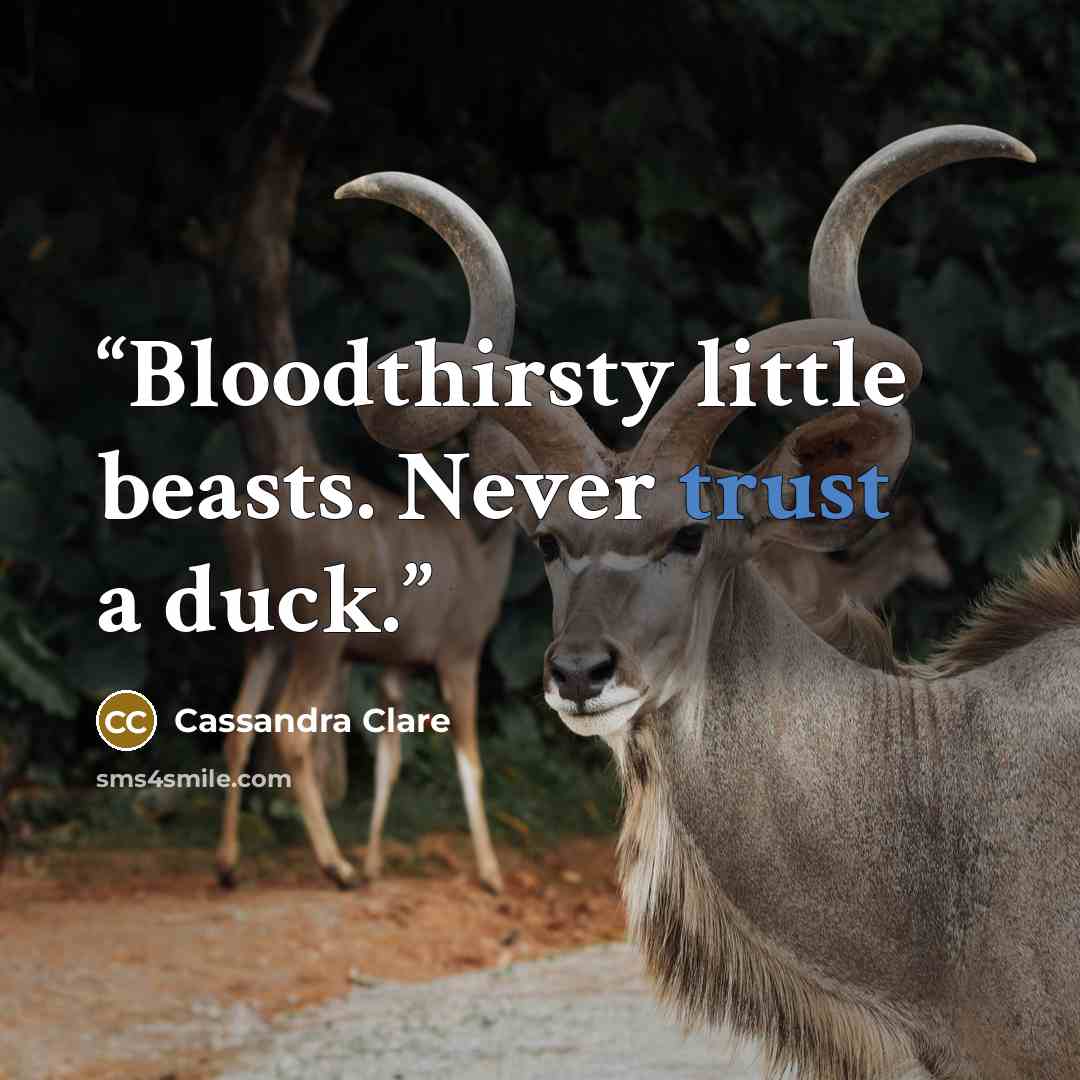 “Bloodthirsty little beasts. Never trust a duck.” quote by Cassandra Clare