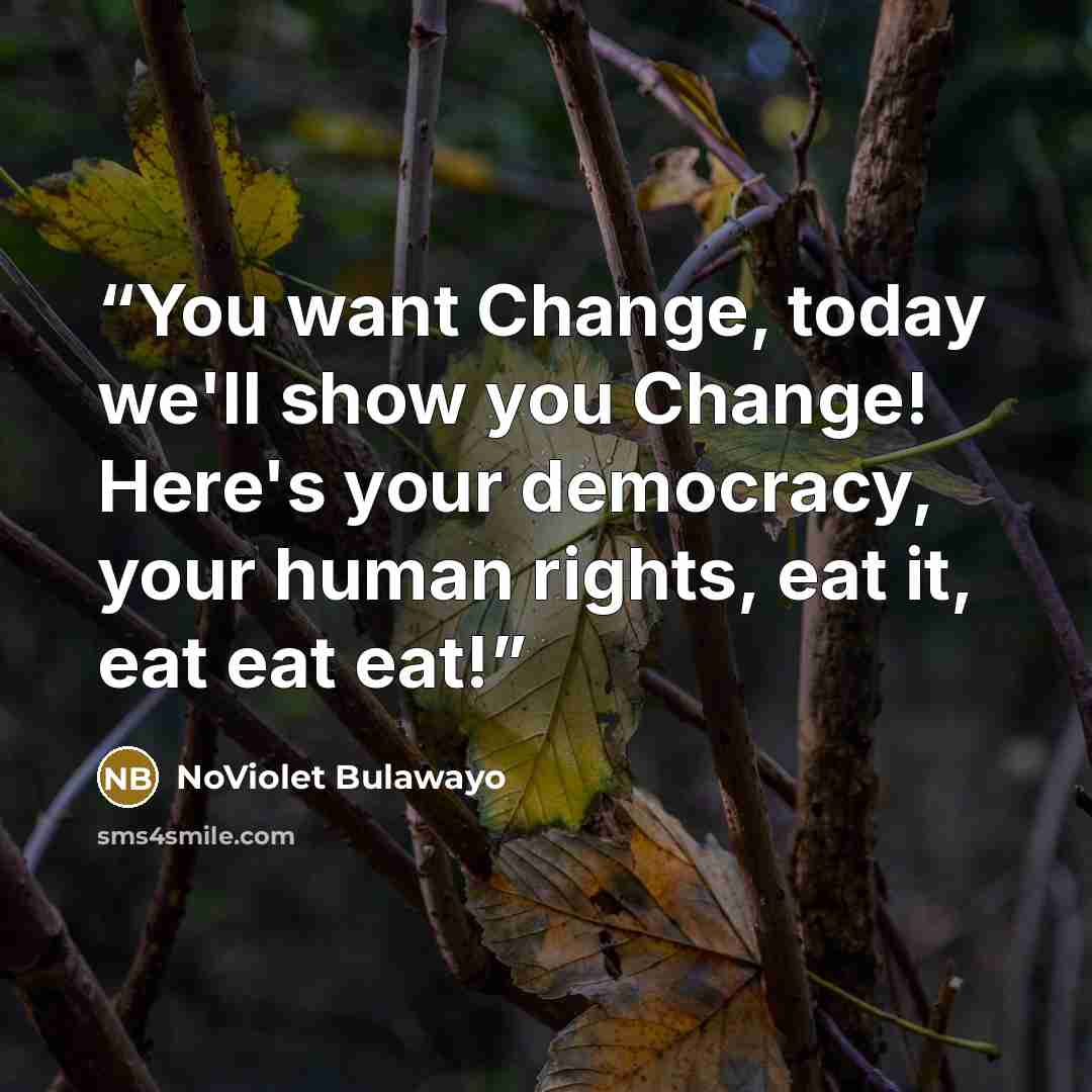 “You want Change, today we'll show you Change! Here's your democracy, your human rights, eat it, eat eat eat!” quote by NoViolet Bulawayo