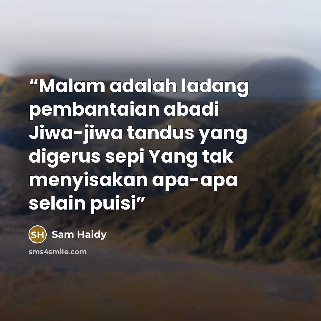 “Malam adalah ladang pembantaian abadi Jiwa-jiwa tandus yang digerus sepi Yang tak menyisakan apa-apa selain puisi” quote by Sam Haidy