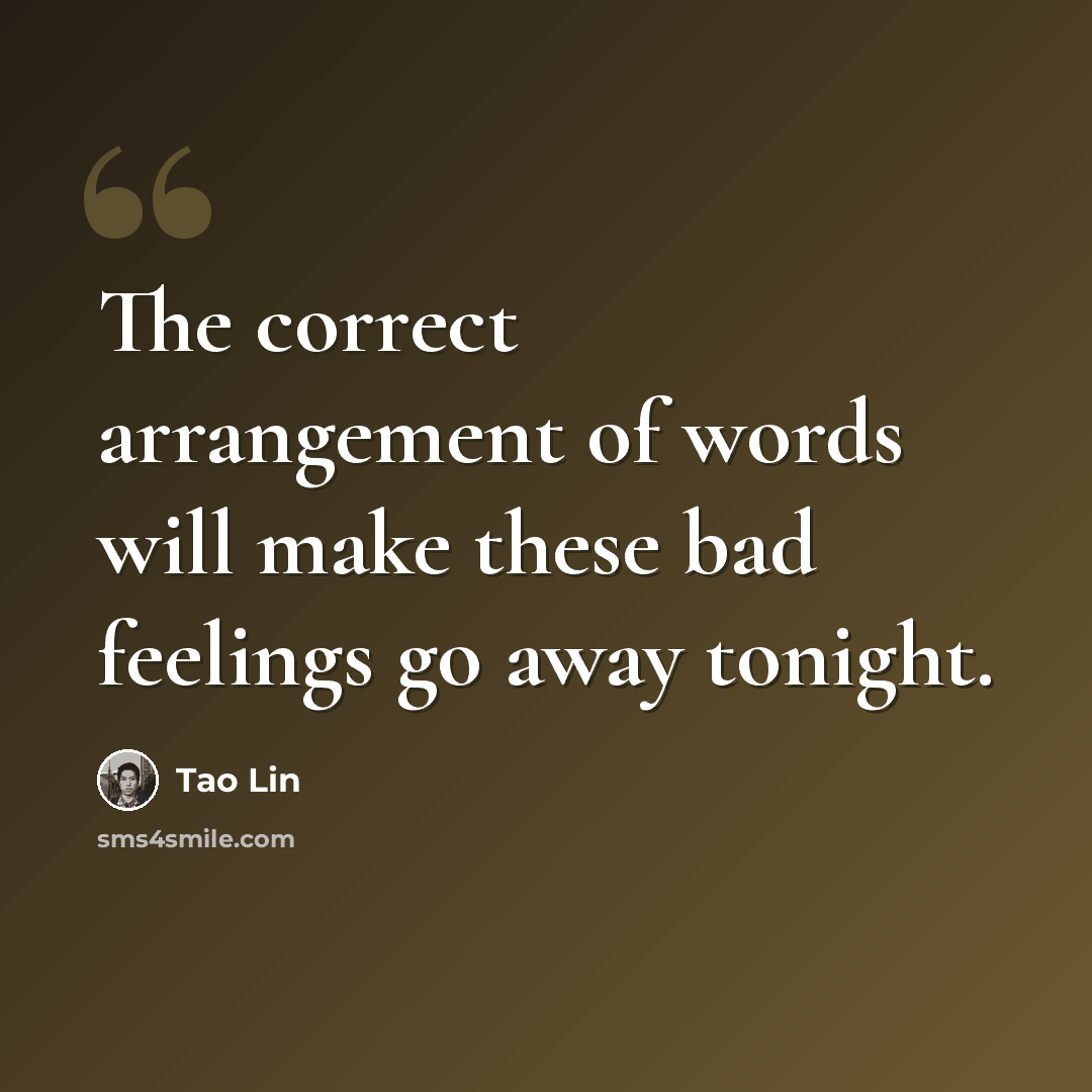 “The correct arrangement of words will make these bad feelings go away tonight.” quote by Tao Lin