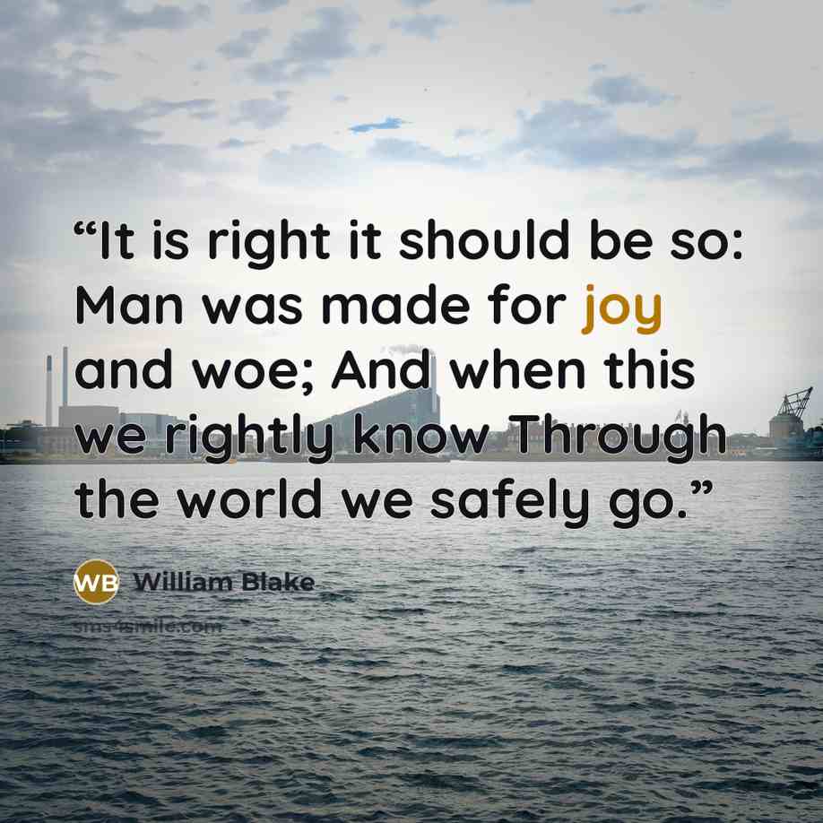 “It is right it should be so: Man was made for joy and woe; And when this we rightly know Through the world we safely go.” quote by William Blake