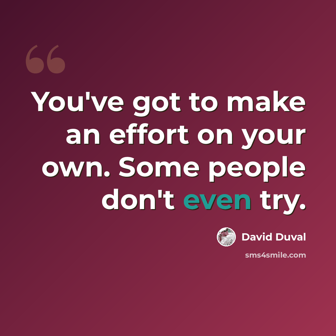 “You've got to make an effort on your own. Some people don't even try.” quote by David Duval