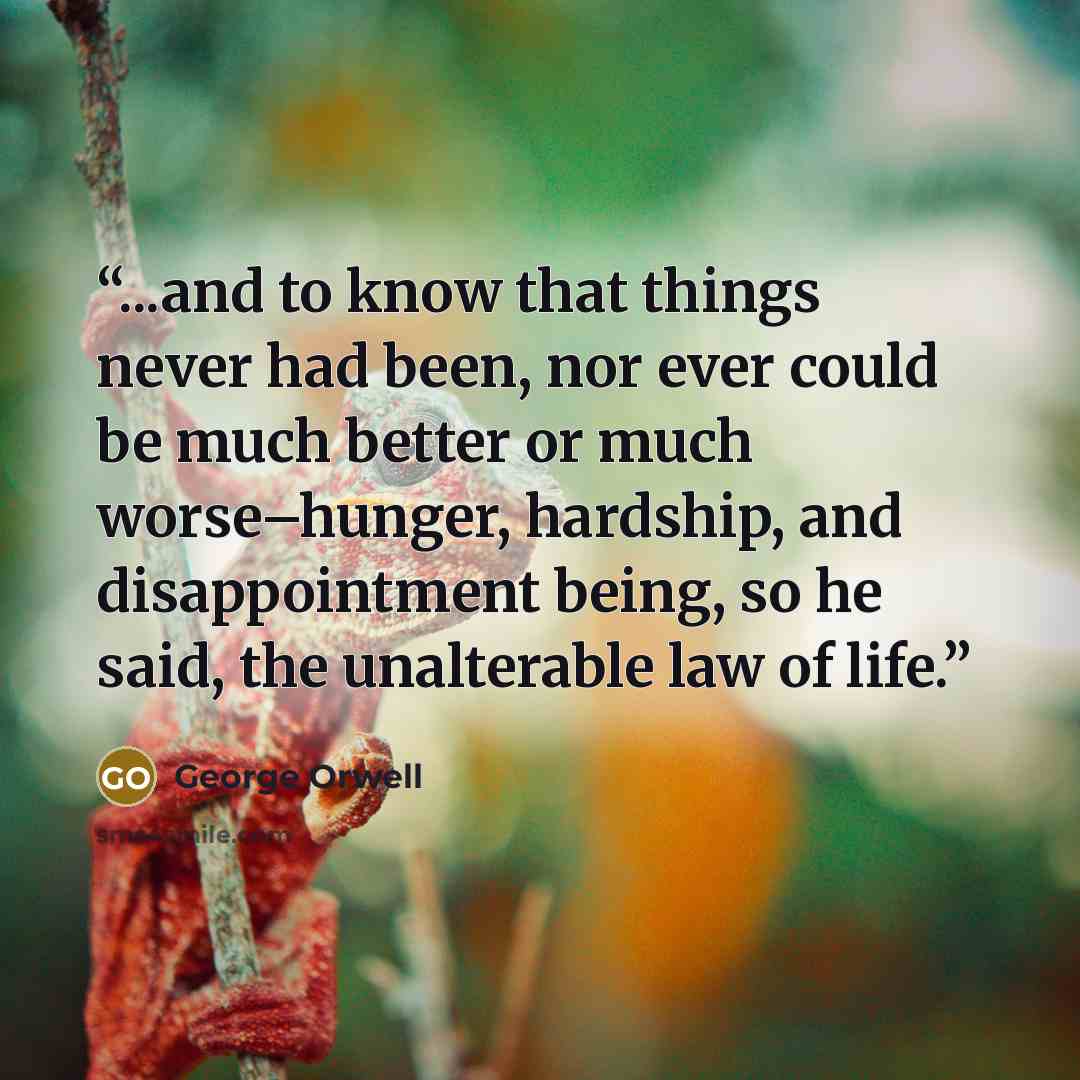 “...and to know that things never had been, nor ever could be much better or much worse–hunger, hardship, and disappointment being, so he said, the unalterable law of life.” quote by George Orwell