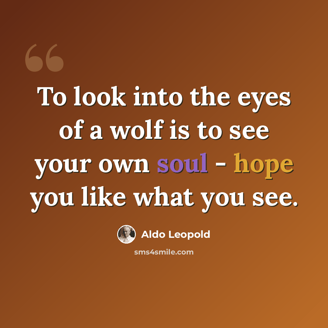 “To look into the eyes of a wolf is to see your own soul - hope you like what you see.” quote by Aldo Leopold