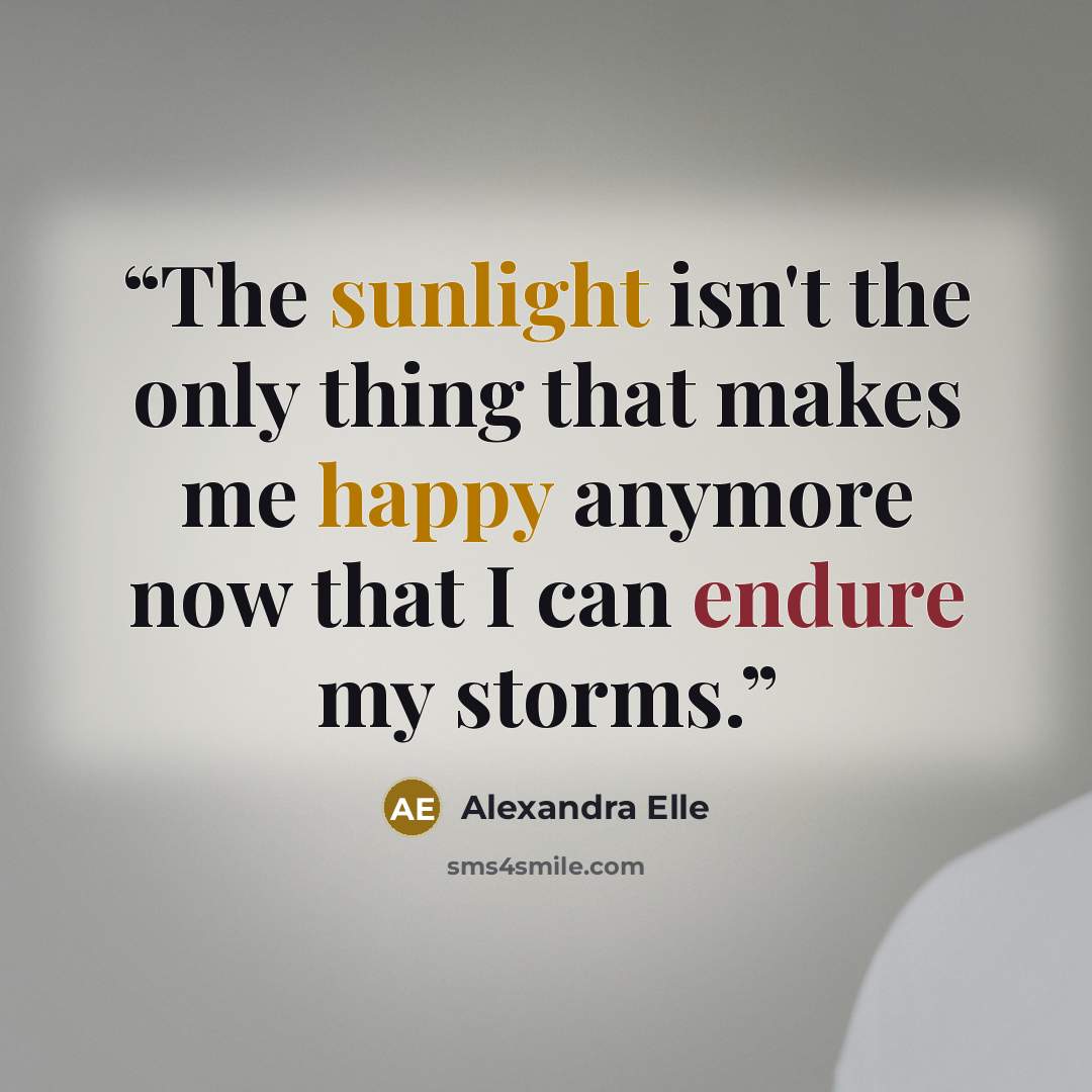 “The sunlight isn't the only thing that makes me happy anymore now that I can endure my storms.” quote by Alexandra Elle