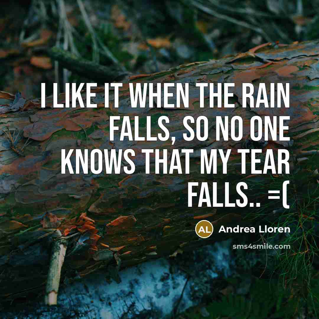 “I LIKE IT WHEN THE RAIN FALLS, SO NO ONE KNOWS THAT MY TEAR FALLS.. =(” quote by Andrea Lloren