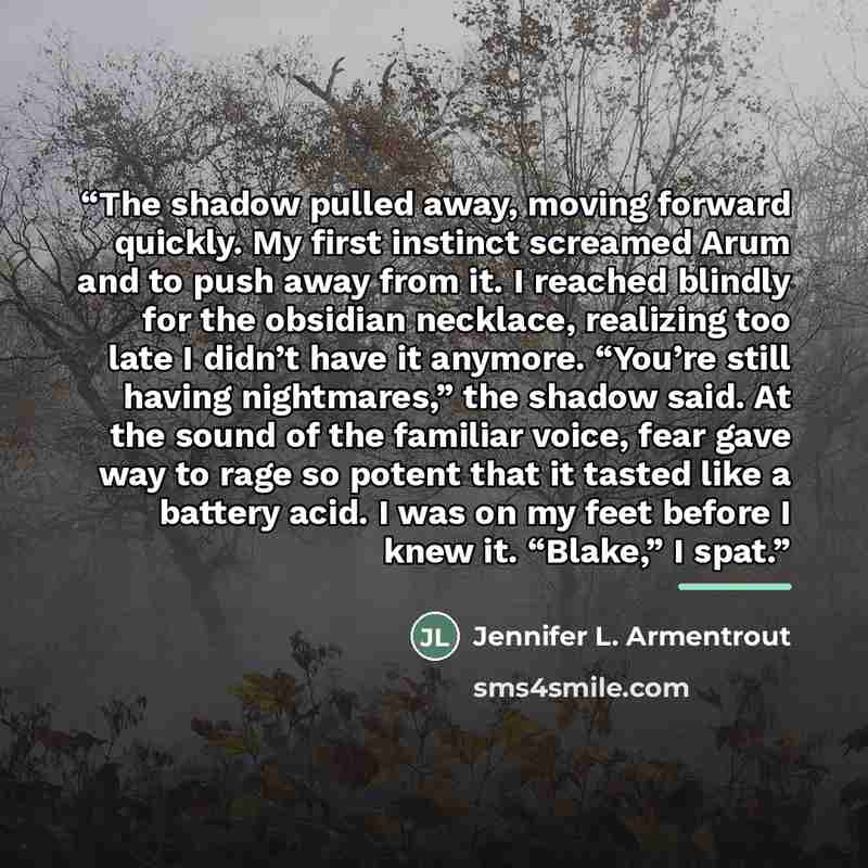 “The shadow pulled away, moving forward quickly. My first instinct screamed Arum and to push away from it. I reached blindly for the obsidian necklace, realizing too late I didn’t have it anymore. “You’re still having nightmares,” the shadow said. At the sound of the familiar voice, fear gave way…” quote by Jennifer L. Armentrout