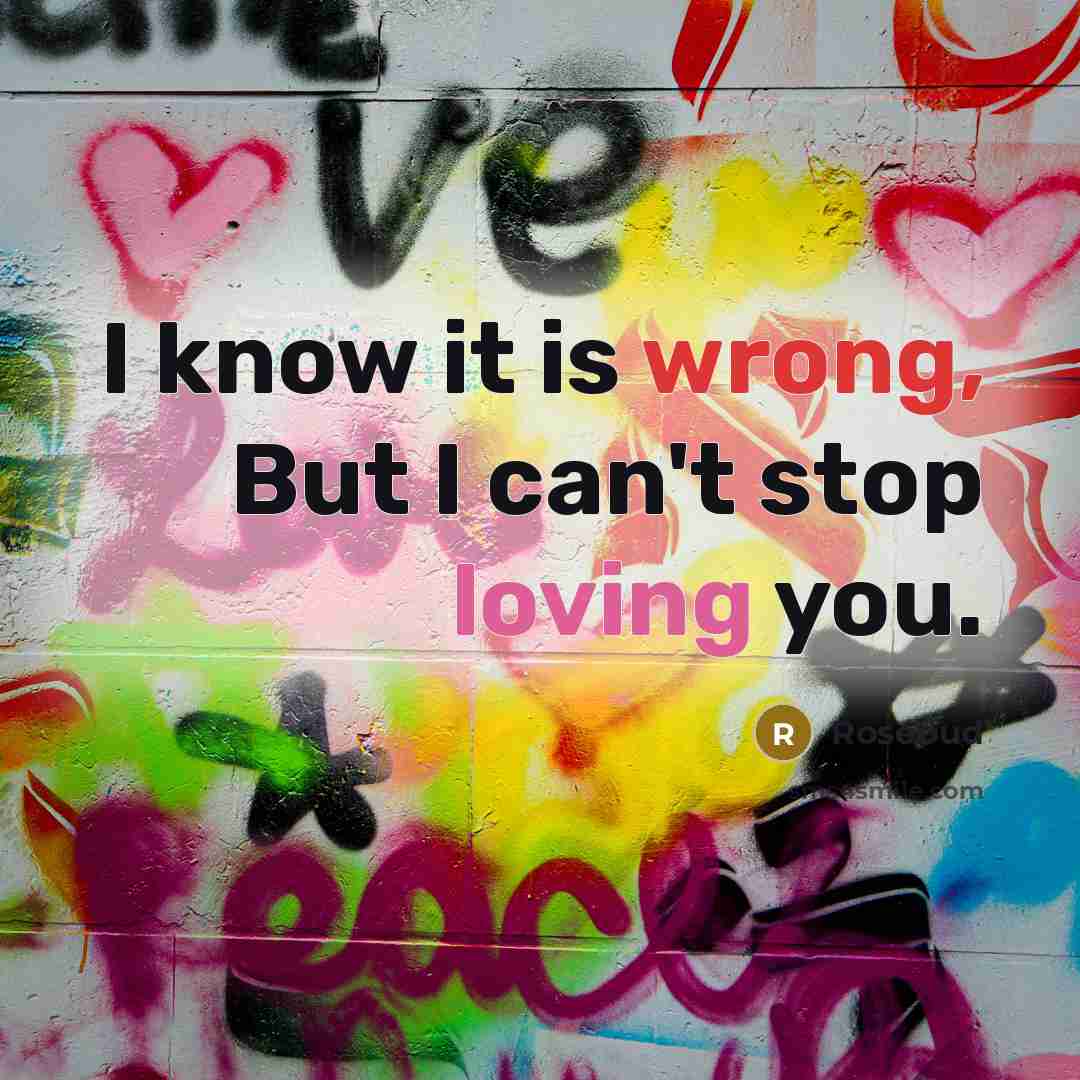 “I know it is wrong, But I can't stop loving you.” quote by Rosebud