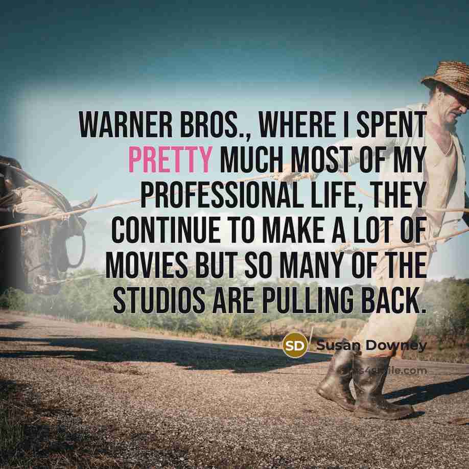 “Warner Bros., where I spent pretty much most of my professional life, they continue to make a lot of movies but so many of the studios are pulling back.” quote by Susan Downey