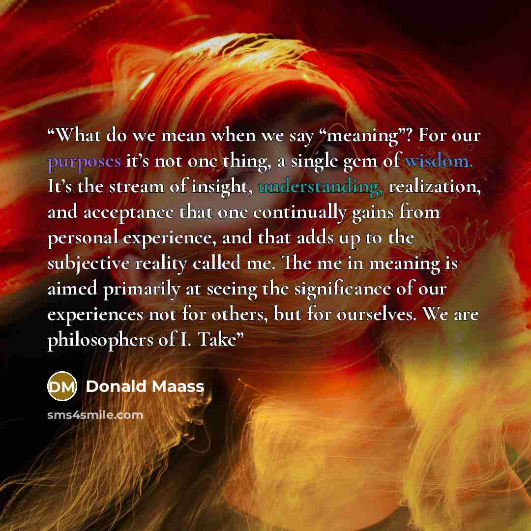 “What do we mean when we say “meaning”? For our purposes it’s not one thing, a single gem of wisdom. It’s the stream of insight, understanding, realization, and acceptance that one continually gains from personal experience, and that adds up to the subjective reality called me. The me in meaning is…” quote by Donald Maass