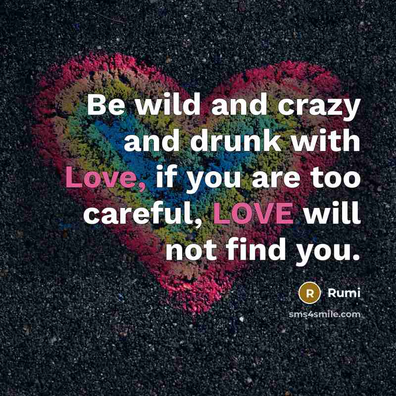 “Be wild and crazy and drunk with Love, if you are too careful, LOVE will not find you.” quote by Rumi