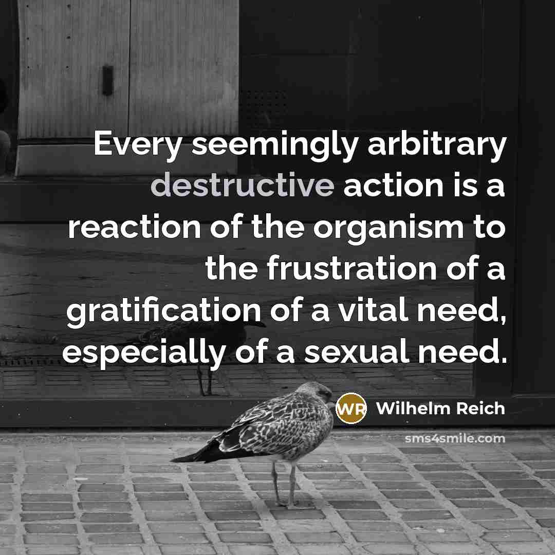 “Every seemingly arbitrary destructive action is a reaction of the organism to the frustration of a gratification of a vital need, especially of a sexual need.” quote by Wilhelm Reich