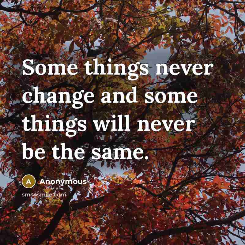 “Some things never change and some things will never be the same.” quote by Anonymous