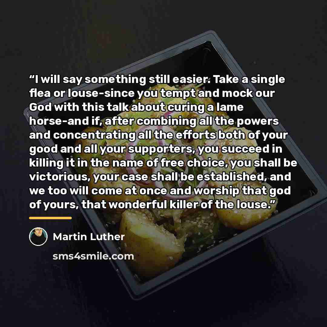 “I will say something still easier. Take a single flea or louse-since you tempt and mock our God with this talk about curing a lame horse-and if, after combining all the powers and concentrating all the efforts both of your good and all your supporters, you succeed in killing it in the name of free…” quote by Martin Luther