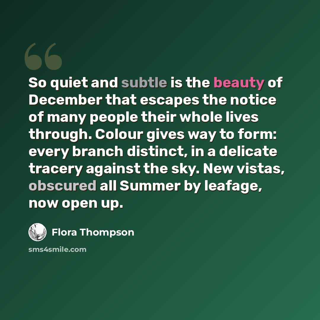 “So quiet and subtle is the beauty of December that escapes the notice of many people their whole lives through. Colour gives way to form: every branch distinct, in a delicate tracery against the sky. New vistas, obscured all Summer by leafage, now open up.” quote by Flora Thompson