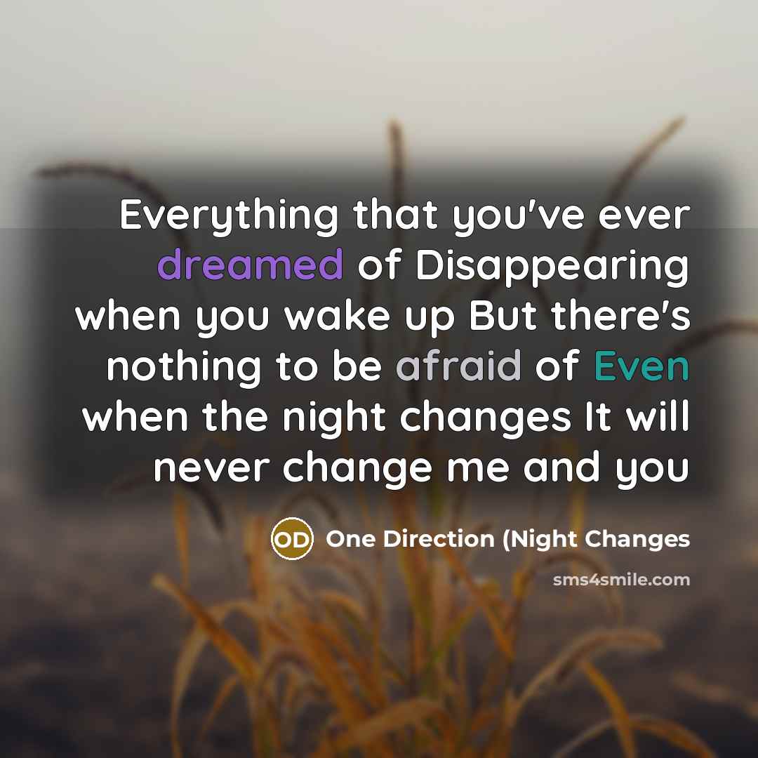 “Everything that you've ever dreamed of Disappearing when you wake up But there's nothing to be afraid of Even when the night changes It will never change me and you” quote by One Direction (NIght Changes