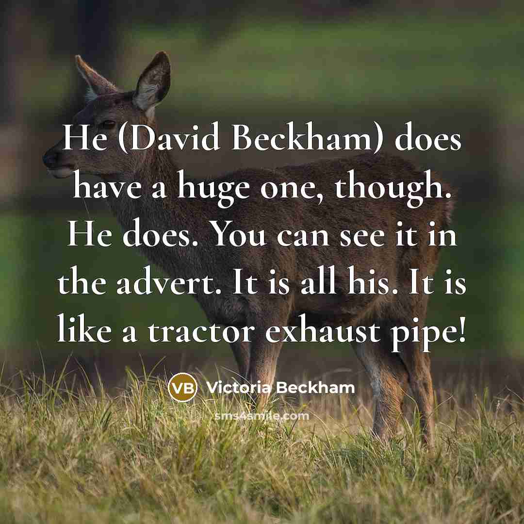 “He (David Beckham) does have a huge one, though. He does. You can see it in the advert. It is all his. It is like a tractor exhaust pipe!” quote by Victoria Beckham