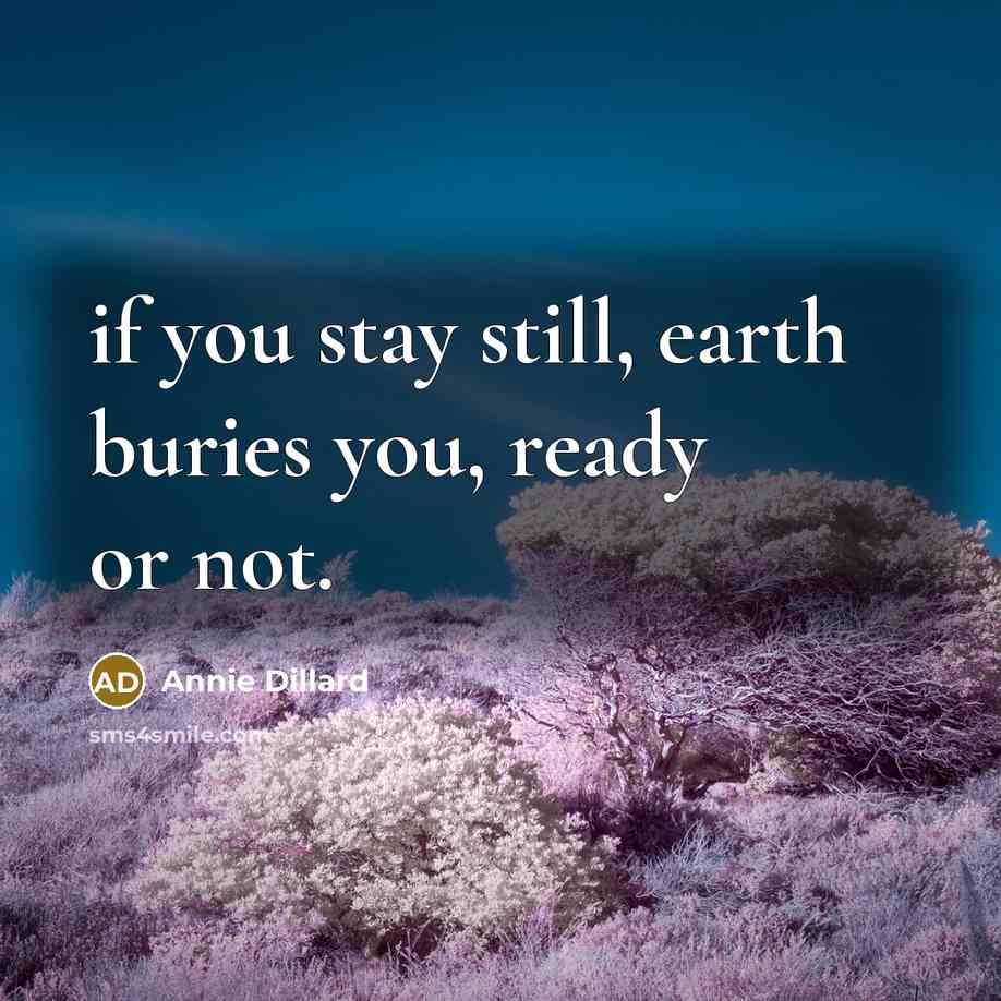 “if you stay still, earth buries you, ready or not.” quote by Annie Dillard