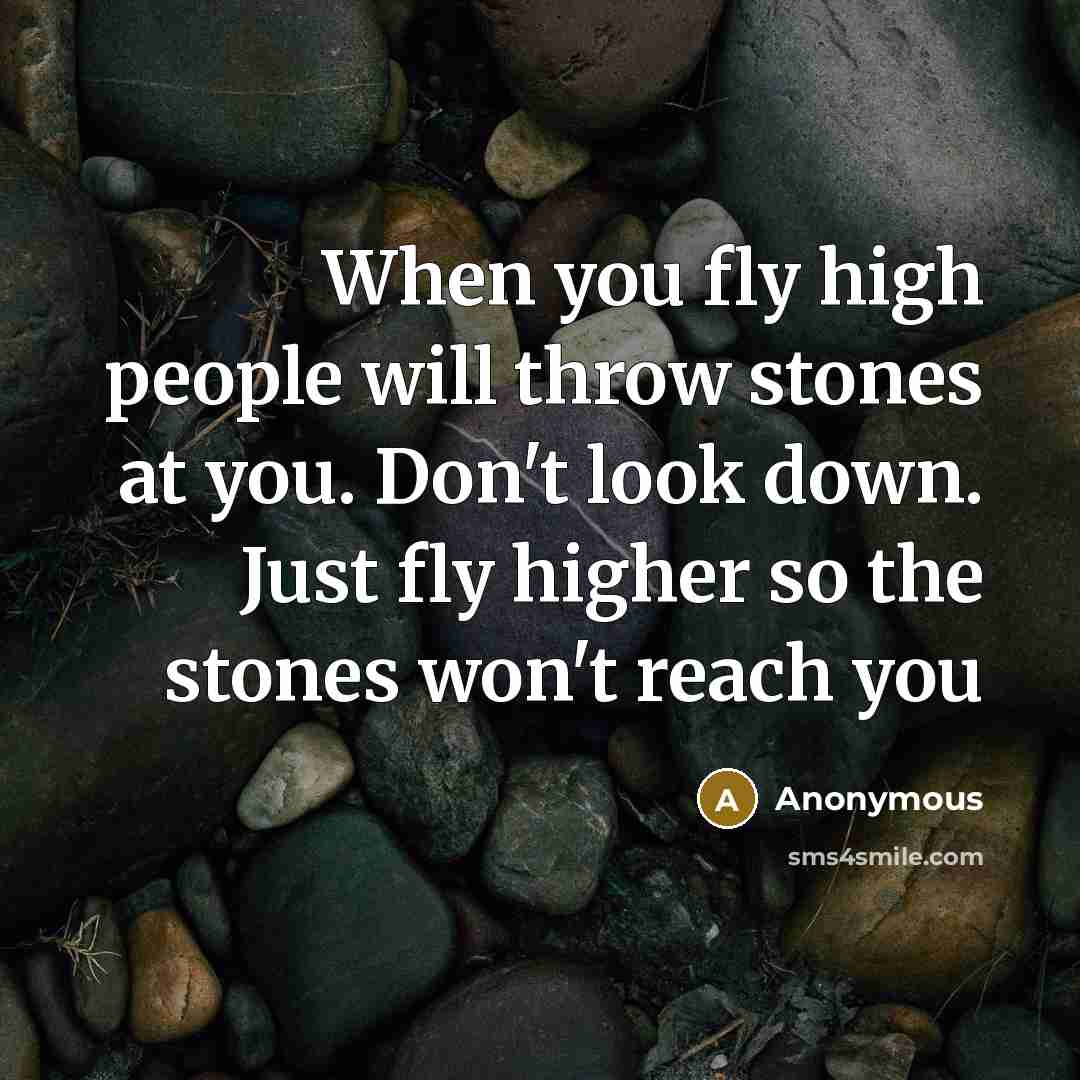 “When you fly high people will throw stones at you. Don't look down. Just fly higher so the stones won't reach you” quote by Anonymous
