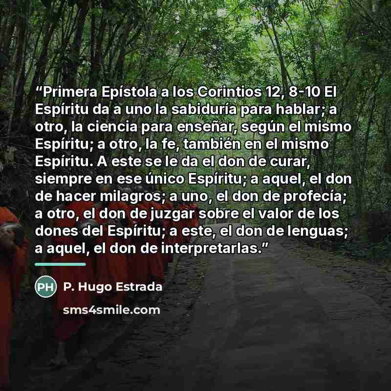 “Primera Epístola a los Corintios 12, 8-10 El Espíritu da a uno la sabiduría para hablar; a otro, la ciencia para enseñar, según el mismo Espíritu; a otro, la fe, también en el mismo Espíritu. A este se le da el don de curar, siempre en ese único Espíritu; a aquel, el don de hacer milagros; a uno…” quote by P. Hugo Estrada