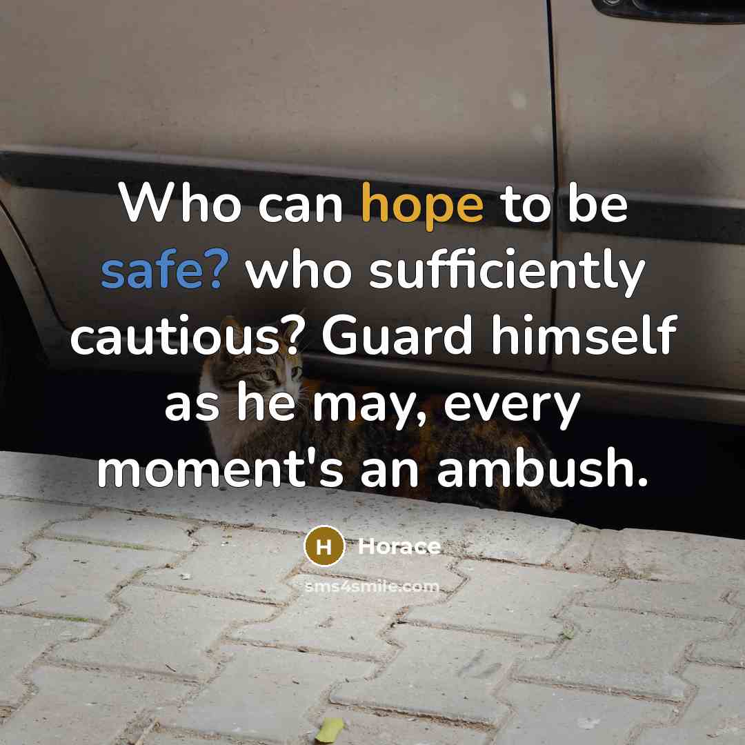 “Who can hope to be safe? who sufficiently cautious? Guard himself as he may, every moment's an ambush.” quote by Horace