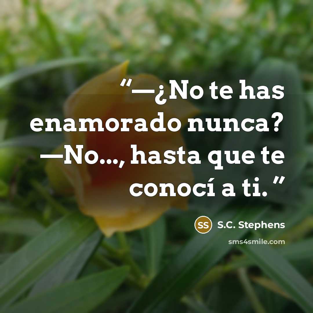 “—¿No te has enamorado nunca? —No..., hasta que te conocí a ti.” quote by S.C. Stephens