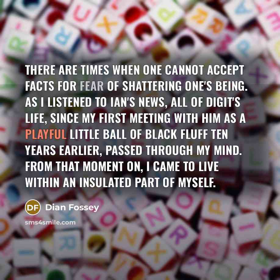“There are times when one cannot accept facts for fear of shattering one's being. As I listened to Ian's news, all of Digit's life, since my first meeting with him as a playful little ball of black fluff ten years earlier, passed through my mind. From that moment on, I came to live within an…” quote by Dian Fossey