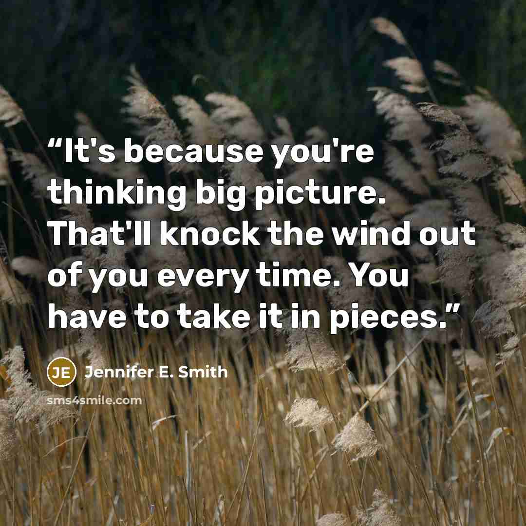 “It's because you're thinking big picture. That'll knock the wind out of you every time. You have to take it in pieces.” quote by Jennifer E. Smith